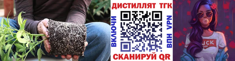 Дистиллят ТГК концентрат  ОМГ ОМГ ONION  Энгельс 