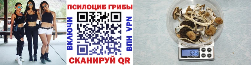 купить наркотик  Энгельс  Псилоцибиновые грибы Magic Shrooms 