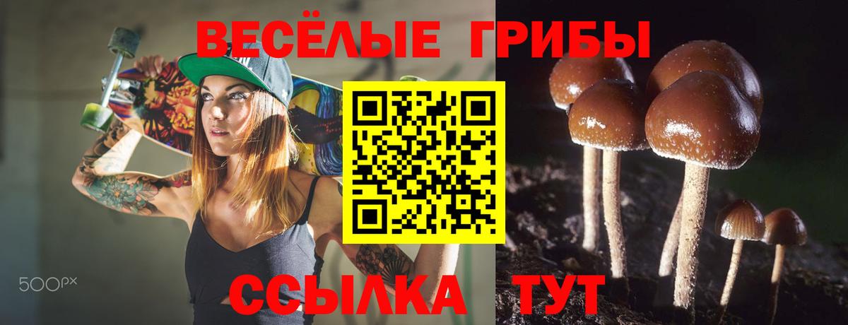 Галлюциногенные грибы мухоморы Энгельс